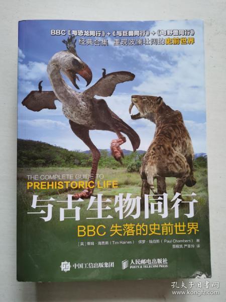 香港正版四不像图,香港正版四不像图，探索神秘的艺术世界