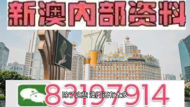 今天澳门特马开的什么,澳门特马的开奖结果及其背后的文化意义